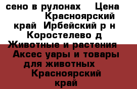 сено в рулонах  › Цена ­ 1 000 - Красноярский край, Ирбейский р-н, Коростелево д. Животные и растения » Аксесcуары и товары для животных   . Красноярский край